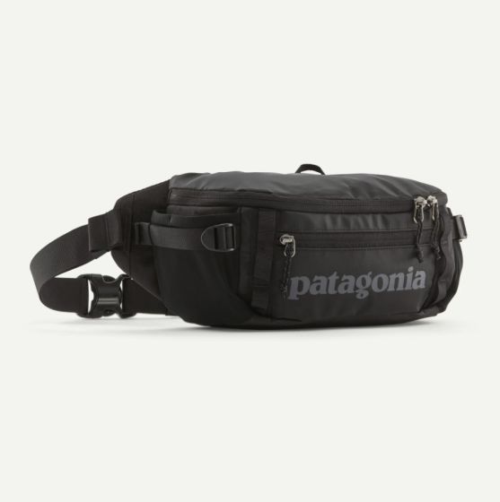 Tasche PATAGONIA Black Hole 