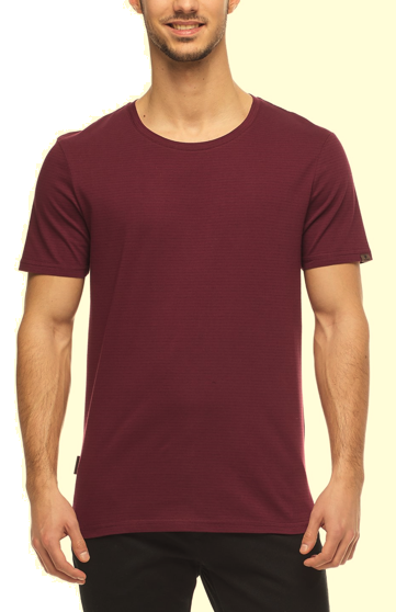 Ragwear Paul Stripe Organic Herren T-Shirt 