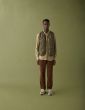Cordhose FORET Shed Brown
