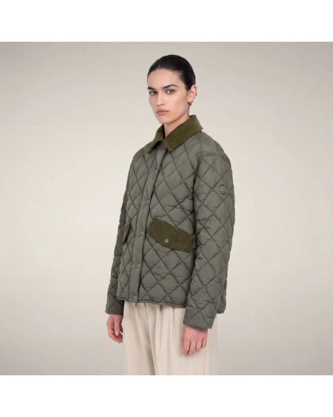 Steppjacke SAVE THE DUCK Jodie Gunmetal Grey