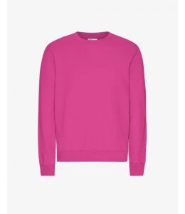 Sweater COLORFUL STANDARD Classic Organic Crew