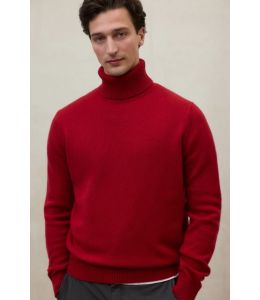 Rollkragenpullover ECOALF Brun