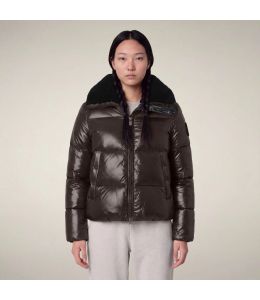Pufferjacke SAVE THE DUCK Moma Brown Black