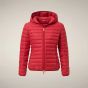 Steppjacke SAVE THE DUCK Daisy Dark Red