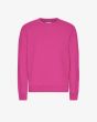 Sweater COLORFUL STANDARD Classic Organic Crew