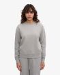 Sweater COLORFUL STANDARD Classic Organic Crew