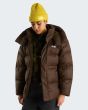 Pufferjacke THE NORTH FACE Dark Chestnut